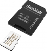 SanDisk microSDXC Max Endurance 256GB